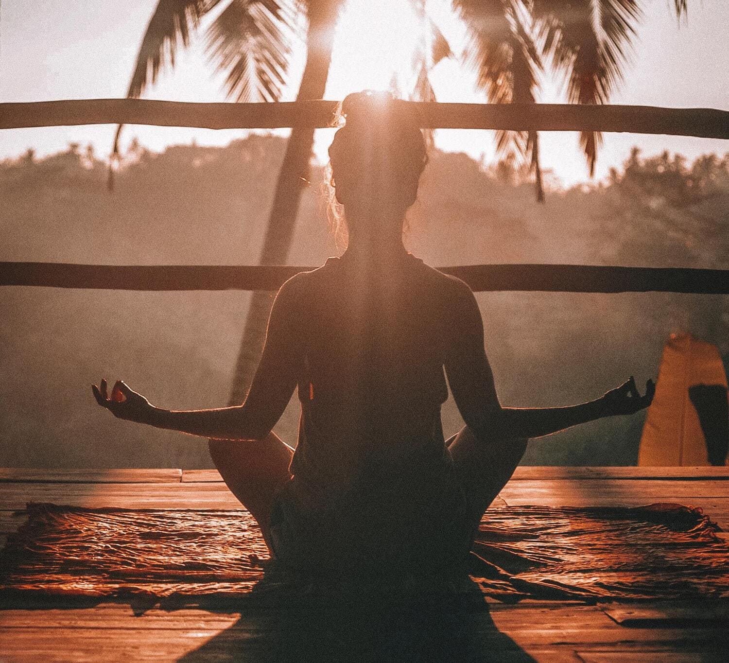 LUZ, salud, ánimo y rendimiento